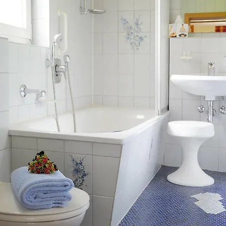 Apartamento Geigers *