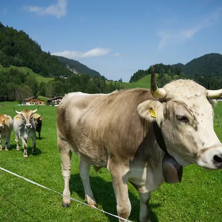 Apartamento Geigers Tiefenbach bei Oberstdorf