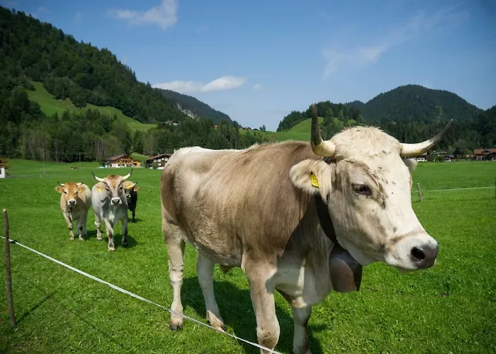 דירה Geigers Tiefenbach bei Oberstdorf